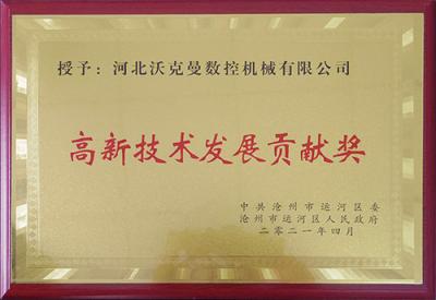 高新技术发展贡献奖